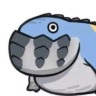 senapoi