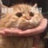 我是FW 呜呜呜