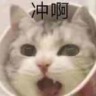 贝洛斯