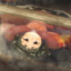 AnsonNLiu