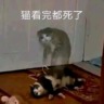 摸辣