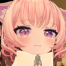猫南北